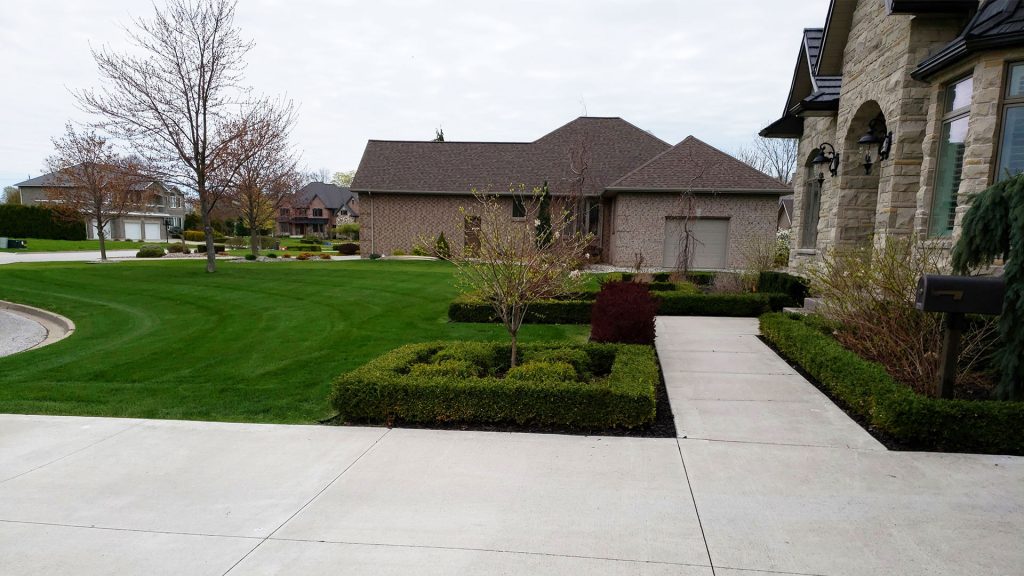 Fresh cut lawn with treatment